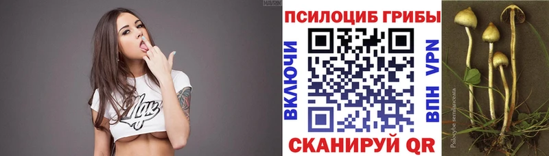 Купить закладки  Минеральные Воды  Псилоцибиновые грибы Cubensis 